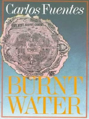 cover image of Burnt Water